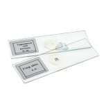 Animal Tissue Slide
